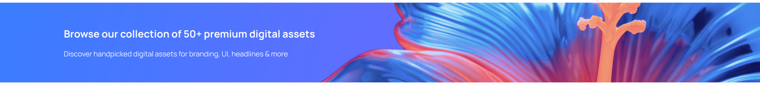bottom-banner